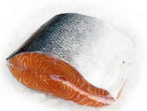 Рыба семга и ее полезные свойства