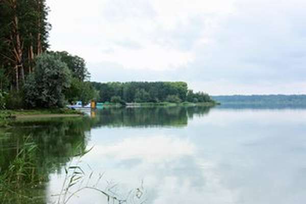 Рыбалка летом на озерах рубцовского района