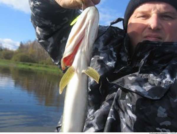 Рыбалка и отдых на Озернинском водохранилище