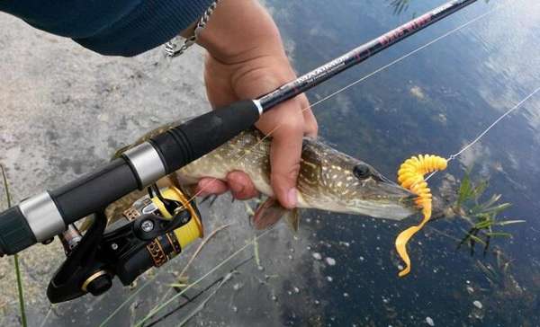 Снасти для рыбалки на щуку