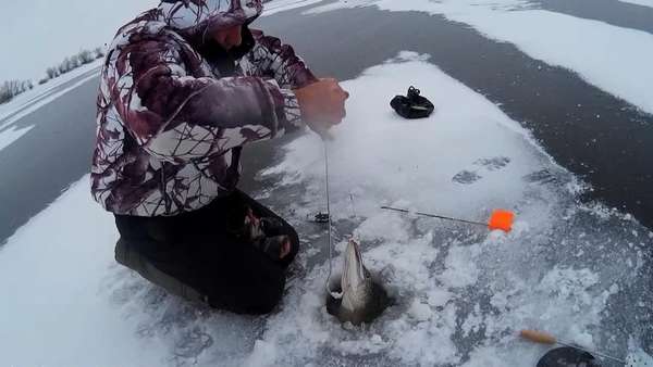 Зимняя рыбалка в Подмосковье 