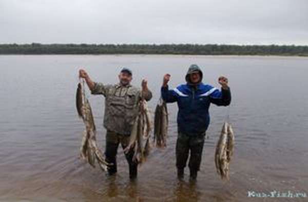 Рыбалка в Кемеровской области
