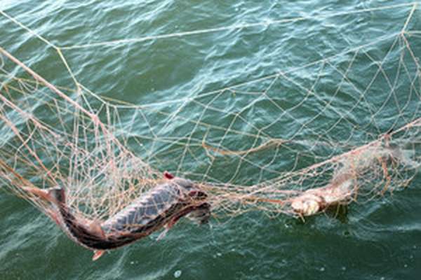 Как плести сеть для рыбалки